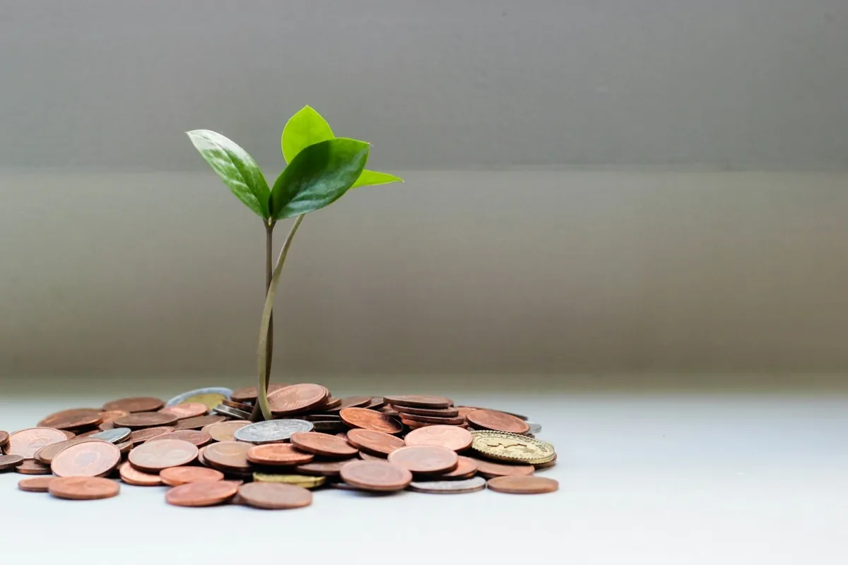 A small plant growing among stacked coins.