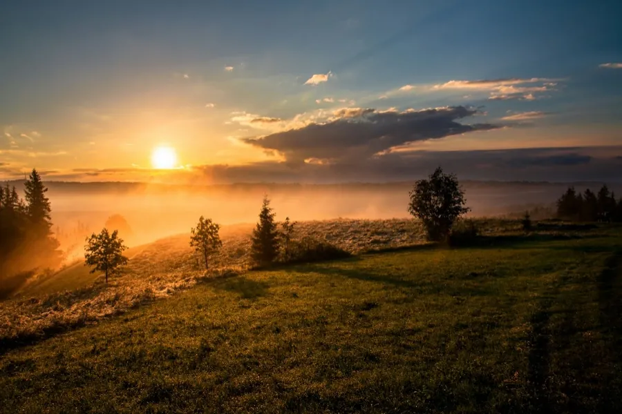 Soft morning light across a quiet landscape.