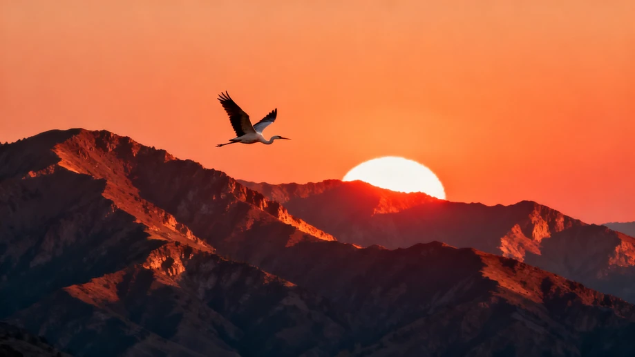 Why Do Birds Migrate Thousands of Miles Every Year?