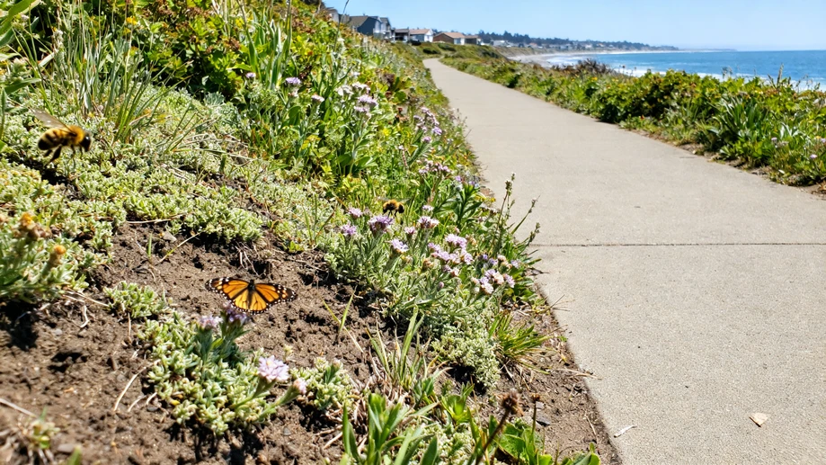 Who Knew Picking Up 3 Random Pieces Of Trash On Your Daily Walk Could Rewild An Entire City Block?